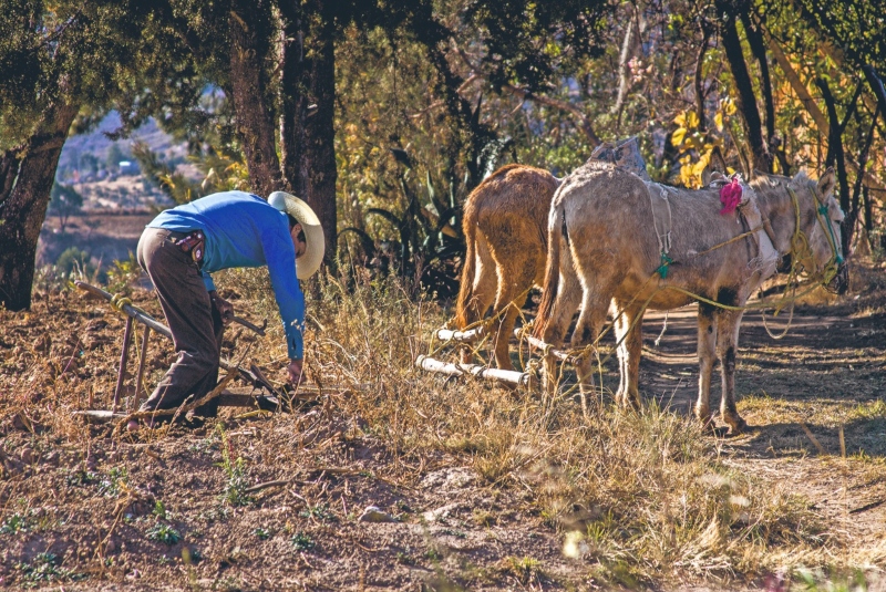 24 Horas Puebla