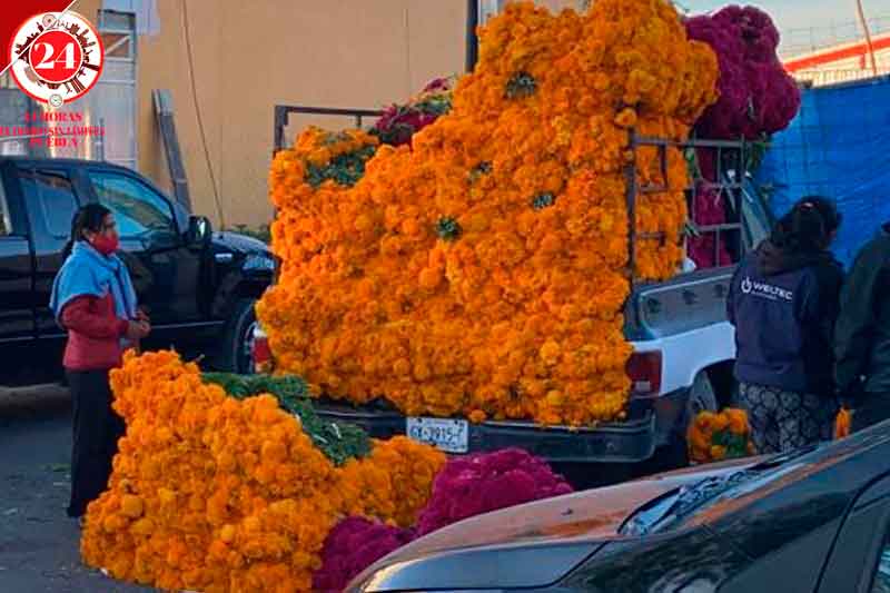 Inicia venta de flor de muerto en Central de Abasto - 24 Horas Puebla