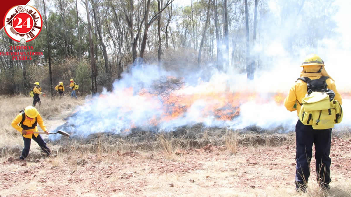 Llevan a cabo brigadistas de Medio Ambiente quema controlada en Flor del Bosque