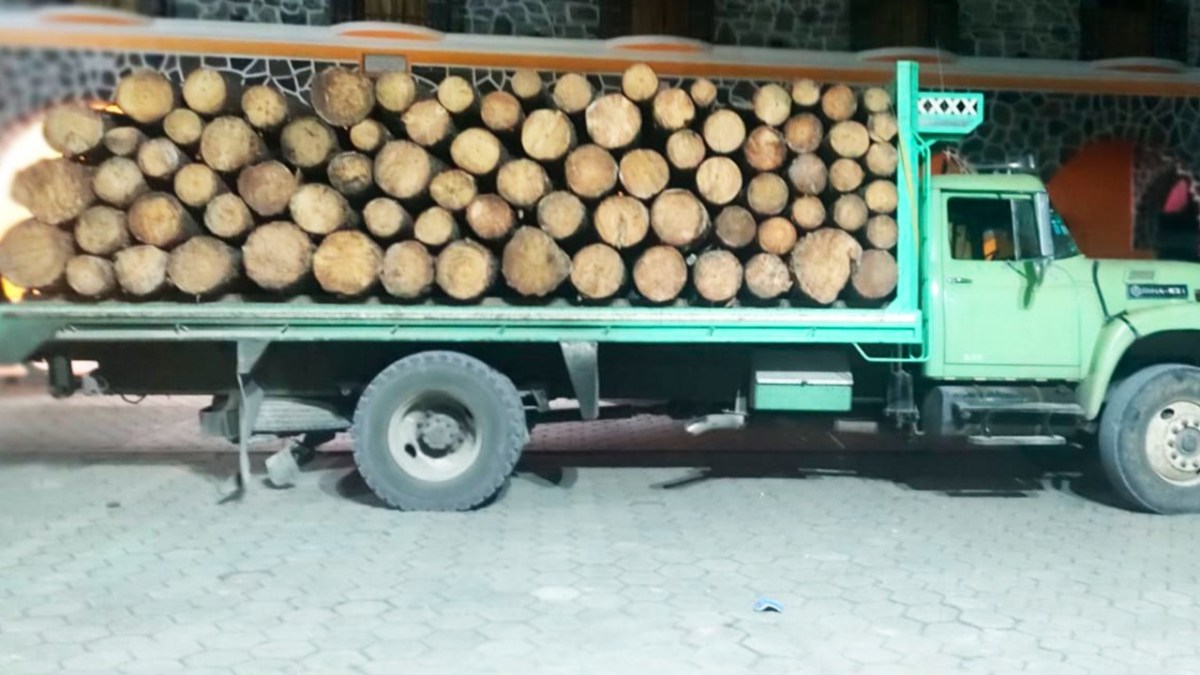 Vehículo /madera ilegal