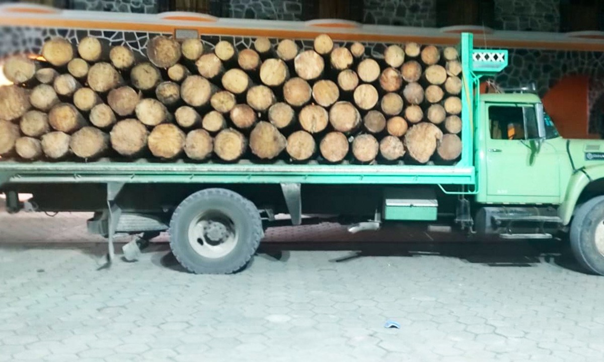 Vehículo /madera ilegal