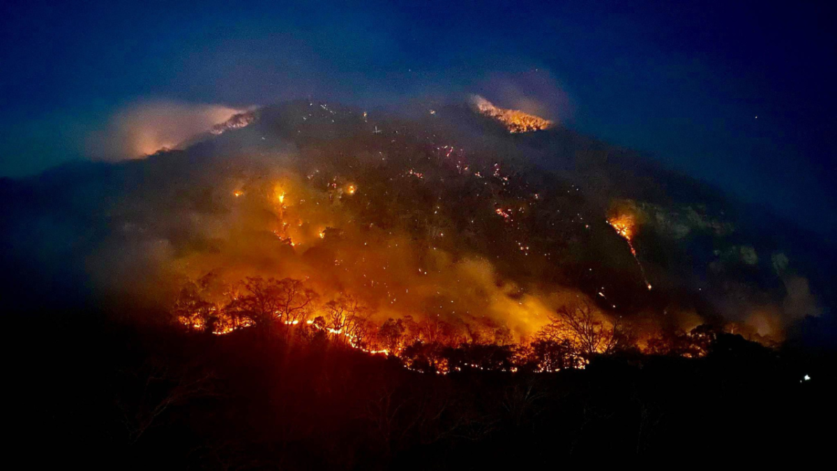 Foto: Cuartoscuro | Durante la conferencia mañanera se informó la actualidad de los incendios forestales que están azotando al país.