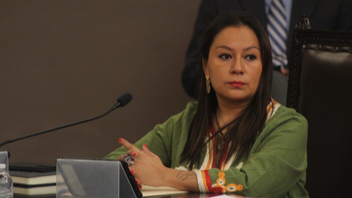 Ruth Zárate Domínguez /Legisladora Puebla
