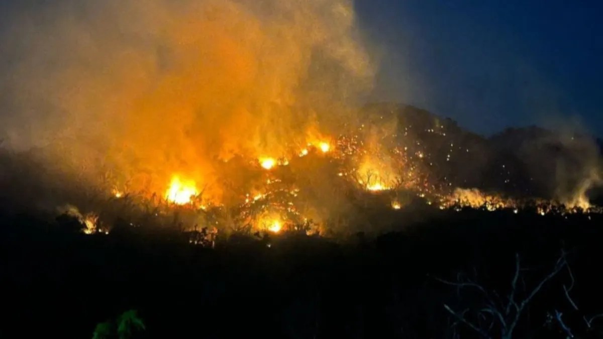 Foto: Redes sociales | Tras incendios forestales en Acapulco y Chilpancingo se suspenden clases este jueves