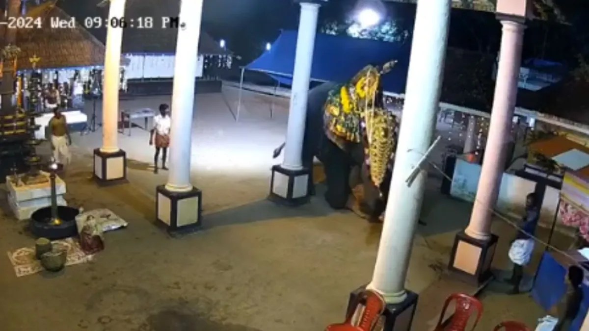 Foto:Captura de pantalla|VIDEO: Hombre es aplastado por un elefante en pleno show