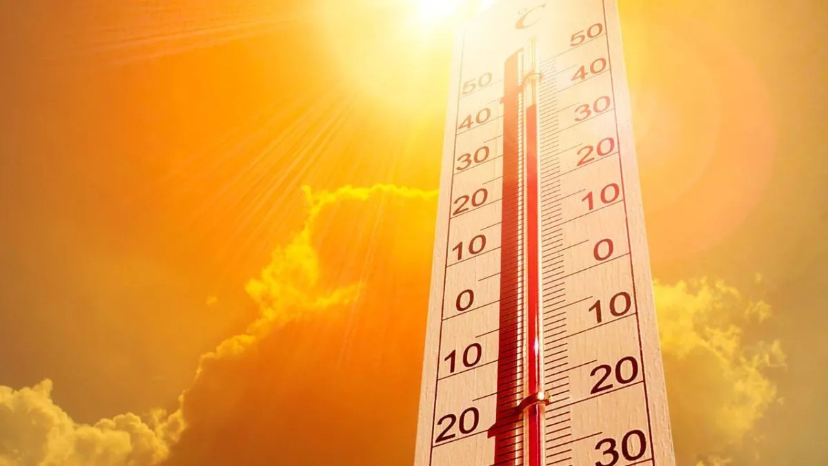 Foto: Especial. En épocas de calor extremo y temperaturas abrumadoras, es necesario saber identificar los síntomas de un golpe de calor.