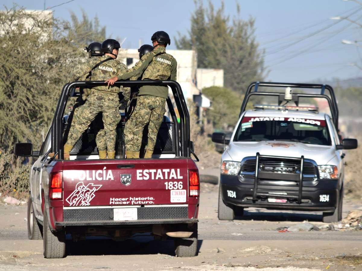 En una operación conjunta llevada a cabo por la Secretaría de Seguridad Pública (SSP) y la Secretaría de Marina (SEMAR), se logró recuperar más de 1100 litros de hidrocarburo de procedencia ilícita en Texcapa, Huauchinango. El exitoso operativo también resultó en el aseguramiento de un vehículo que transportaba el combustible robado.