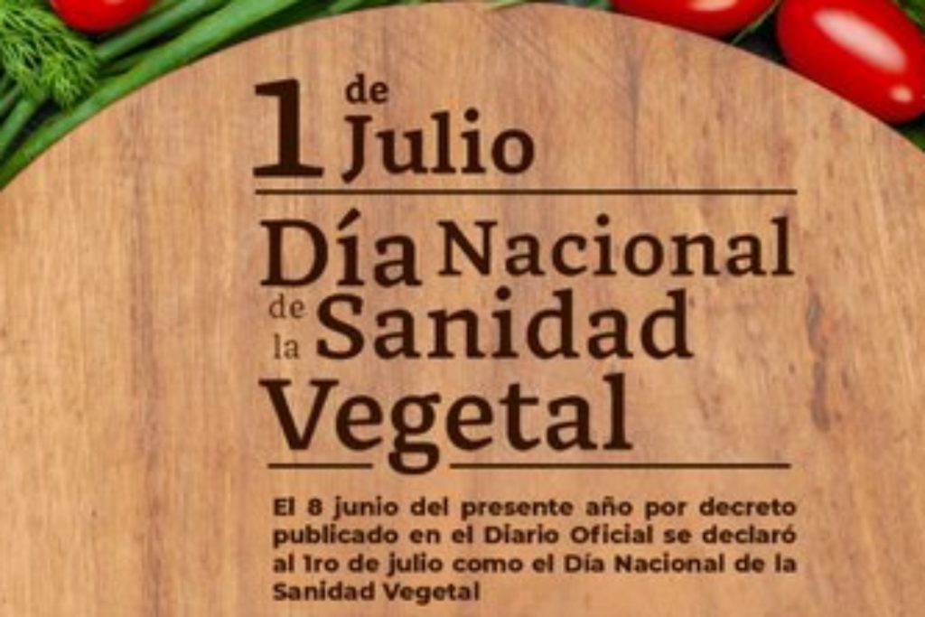 24 Horas Puebla