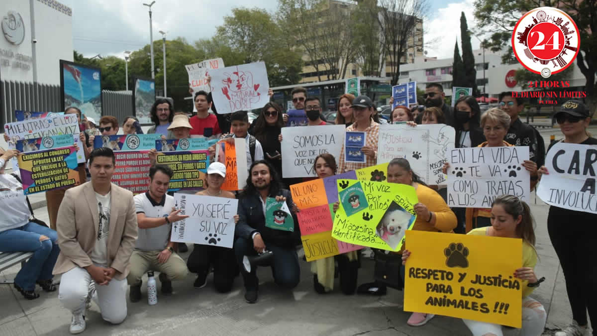 Foto: JAIME CID