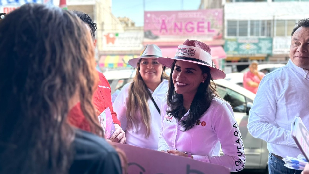 Karina Romero Alcalá, Candidata a diputada