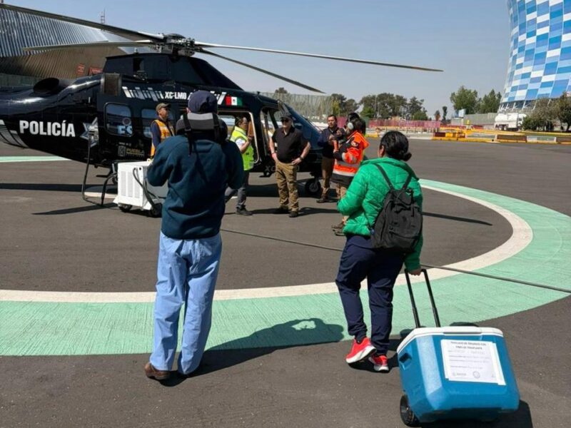 Los órganos fueron trasladados por vía aérea a la Ciudad de México, donde serán trasplantados a pacientes que los requieran.