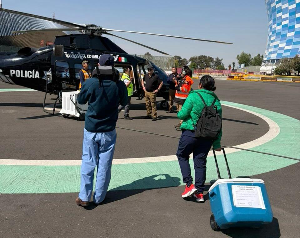 Los órganos fueron trasladados por vía aérea a la Ciudad de México, donde serán trasplantados a pacientes que los requieran.