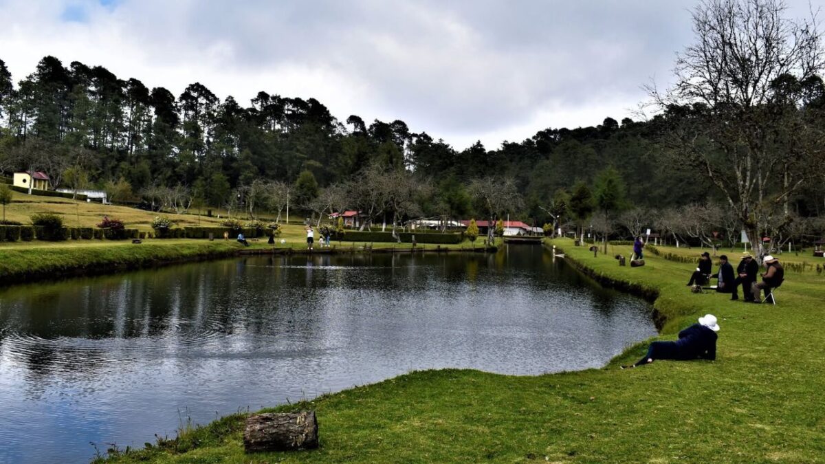 La Conanp y Profepa investigan posibles cambios de uso de suelo forestal y revisan obras en el fraccionamiento Patoltecoya, en Huachinango.