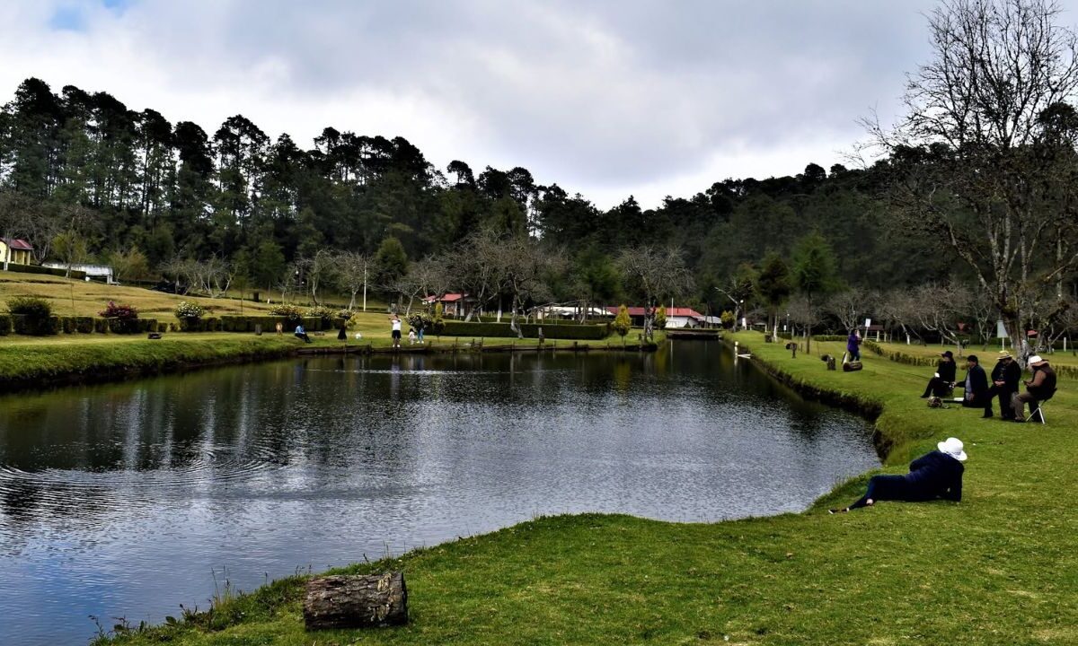 La Conanp y Profepa investigan posibles cambios de uso de suelo forestal y revisan obras en el fraccionamiento Patoltecoya, en Huachinango.
